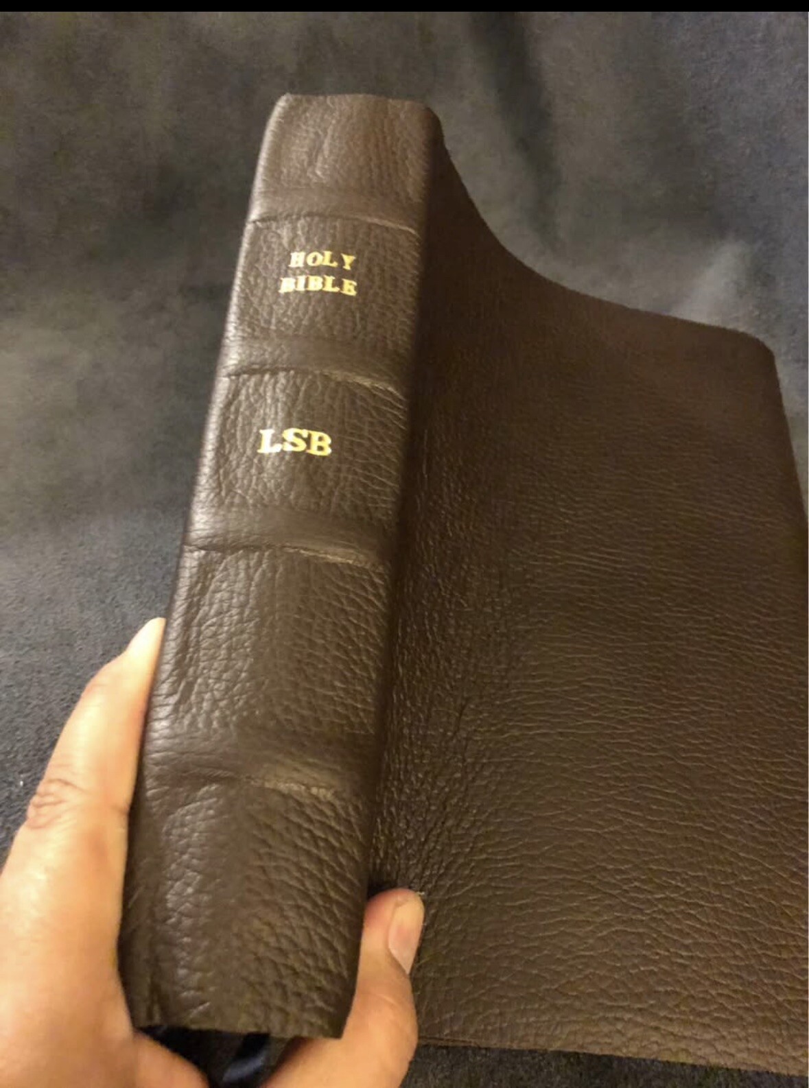 lsb inside column reference Legacy Standard Bible Leather Brown