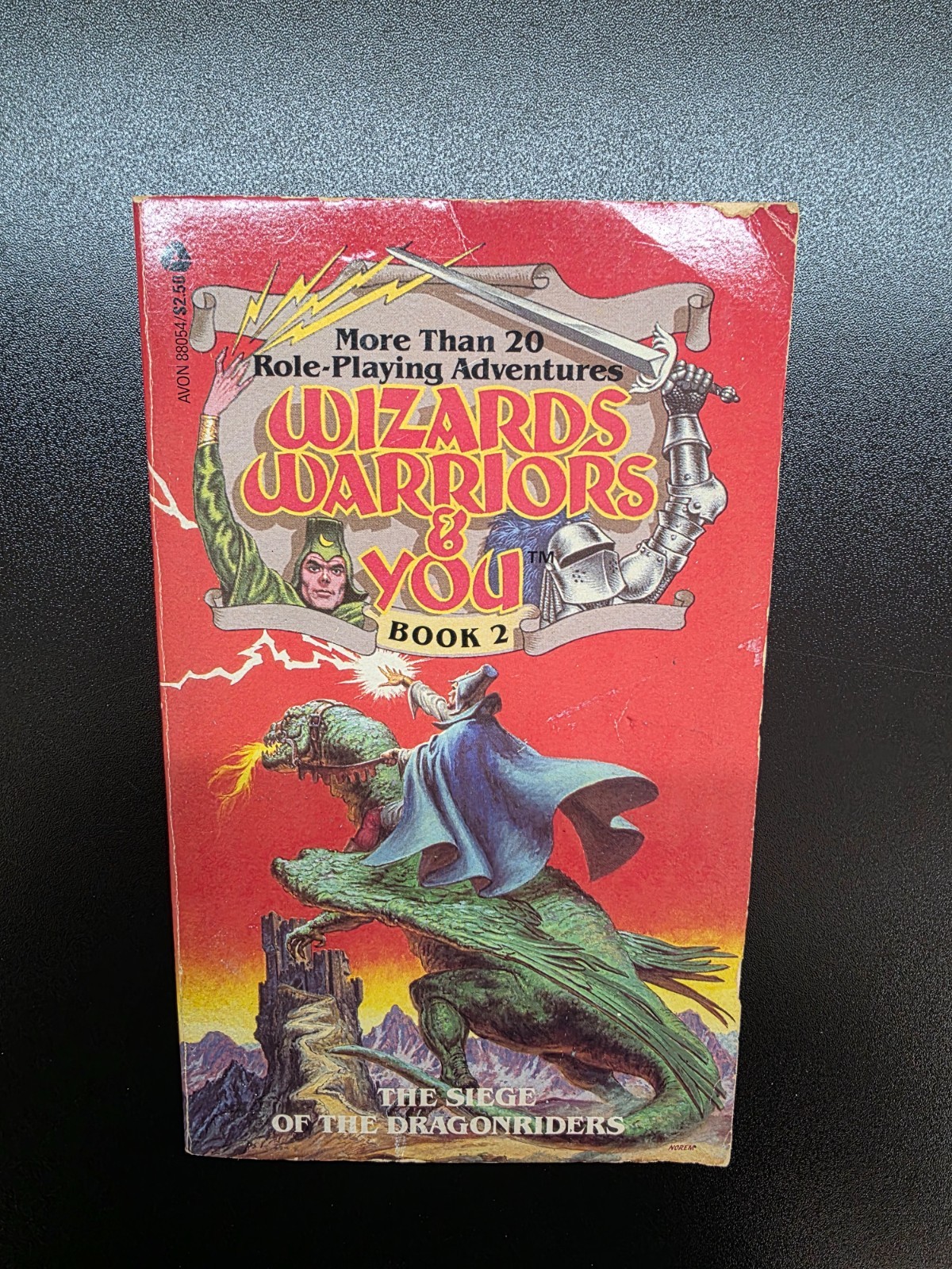 Wizards, Warriors and You Book #2 The Siege of the Dragonriders