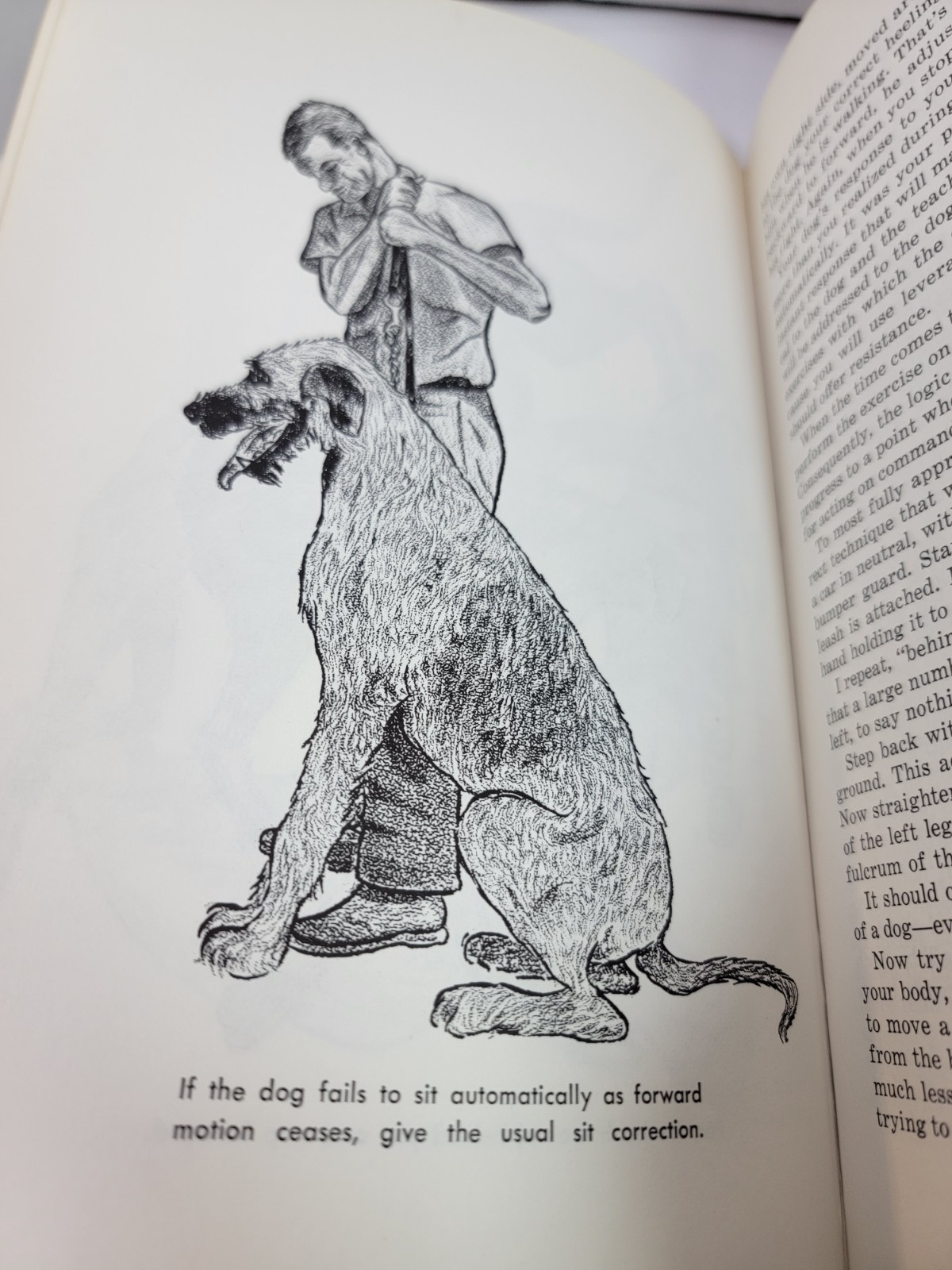 The Koehler Method of Dog Training William Koehler 1971 10th Printing Hardcover