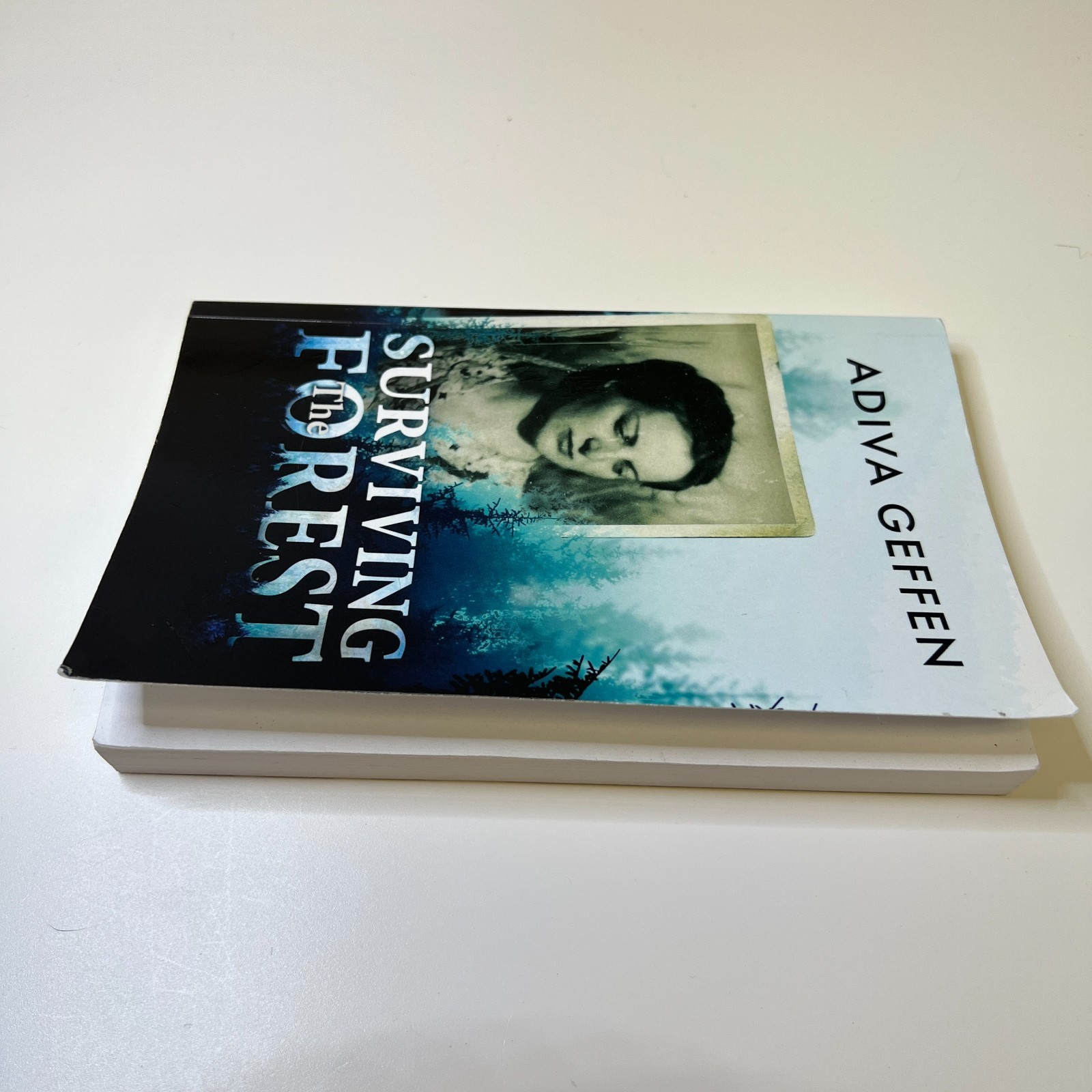 Surviving The Forest (A WW2 Historical Novel) by Adiva Geffen