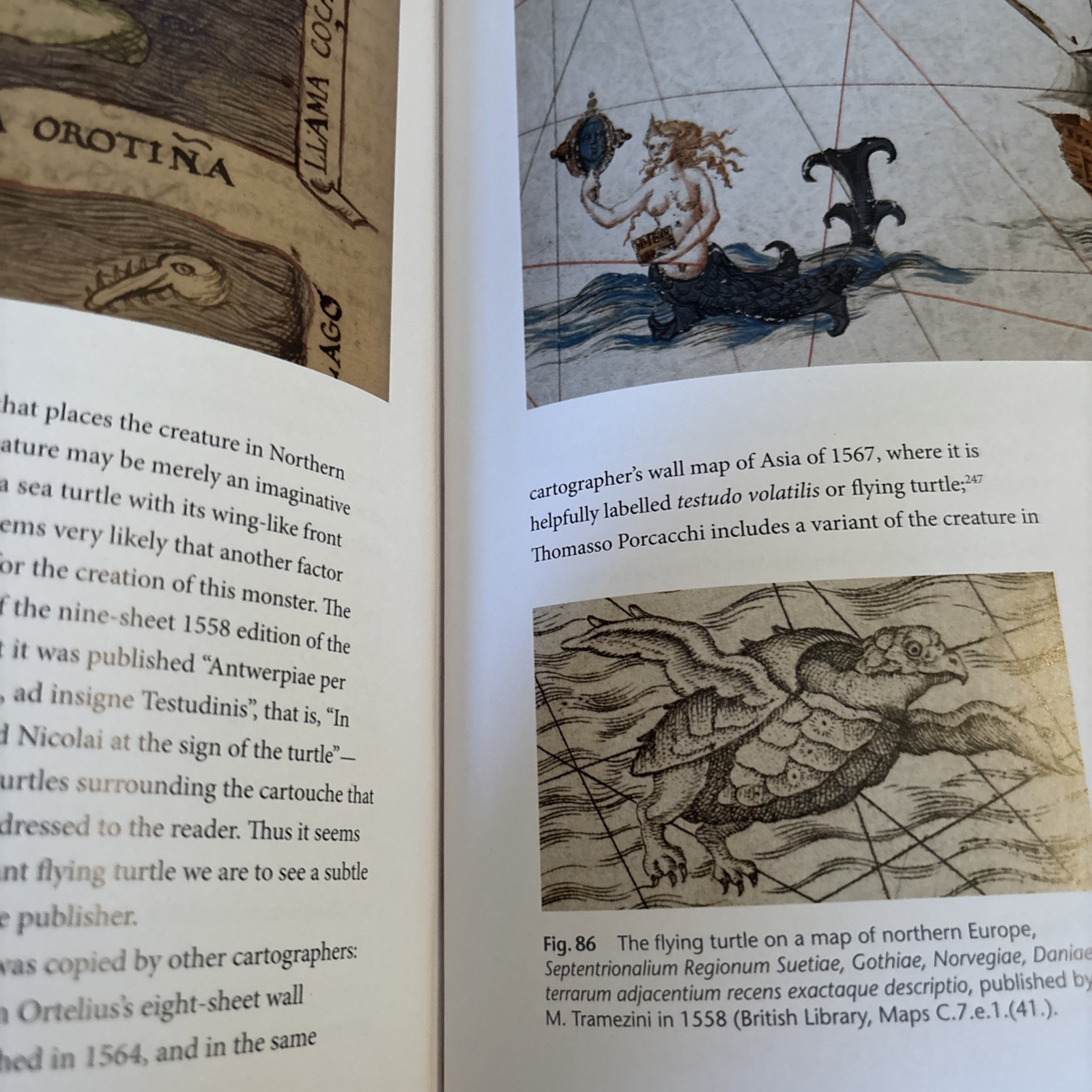 Sea Monsters on Medieval and Renaissance Maps by Chet van Duzer