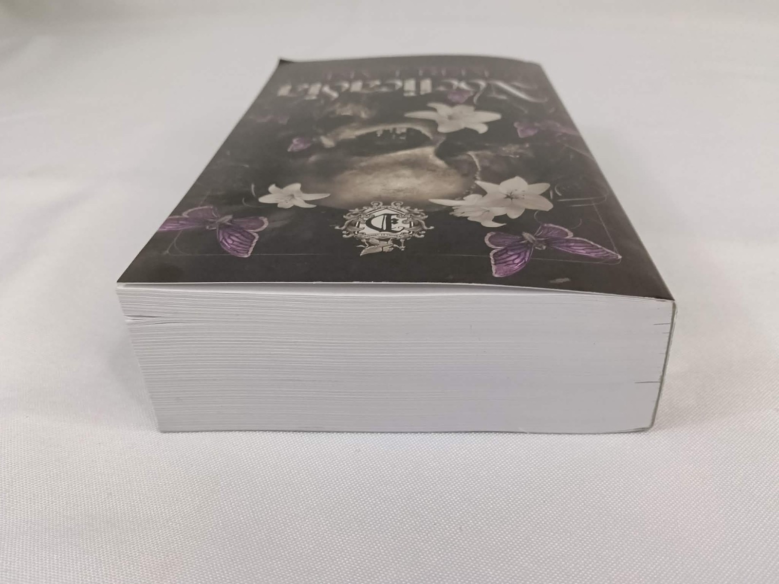 Nocticadia by Keri Lake / Dark Romance Erotic Gothic Thriller / Paperback (2023)
