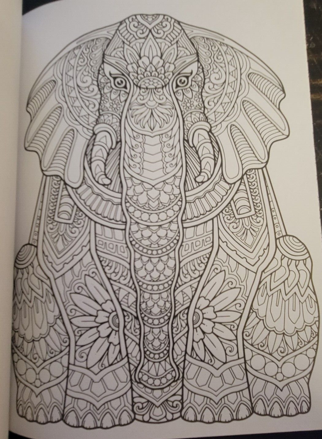 COLORS OF THE WILD Vol 22 Adult Coloring Book With 47 Prints Ready To Frame
