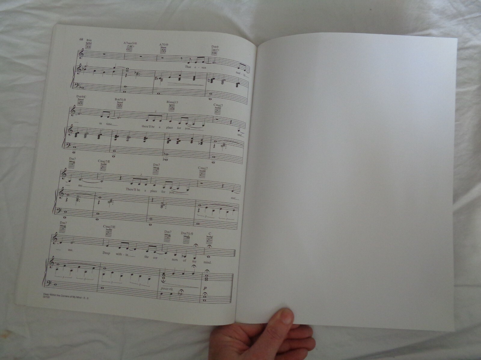 Melody Gardot My One and Only Thrill Sheet Music Piano Vocal Guitar Songs Verve