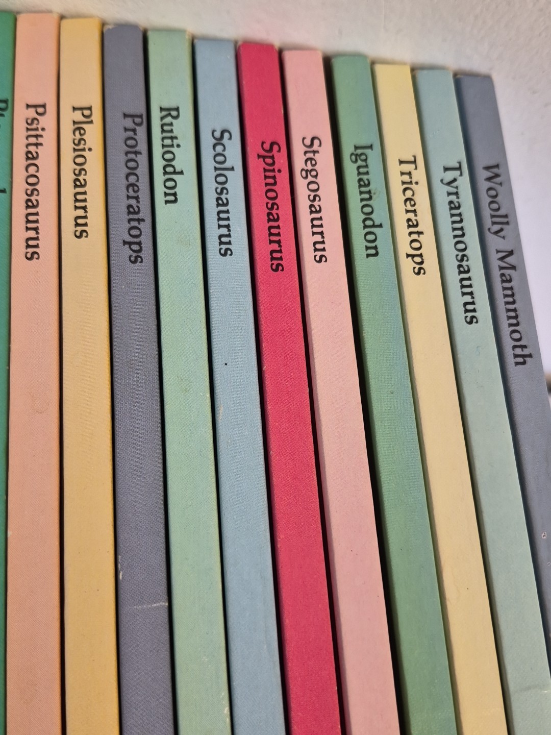 Rare Vintage 29 Rourke Hardcover 80’S Dinosaur Library Series Books Set