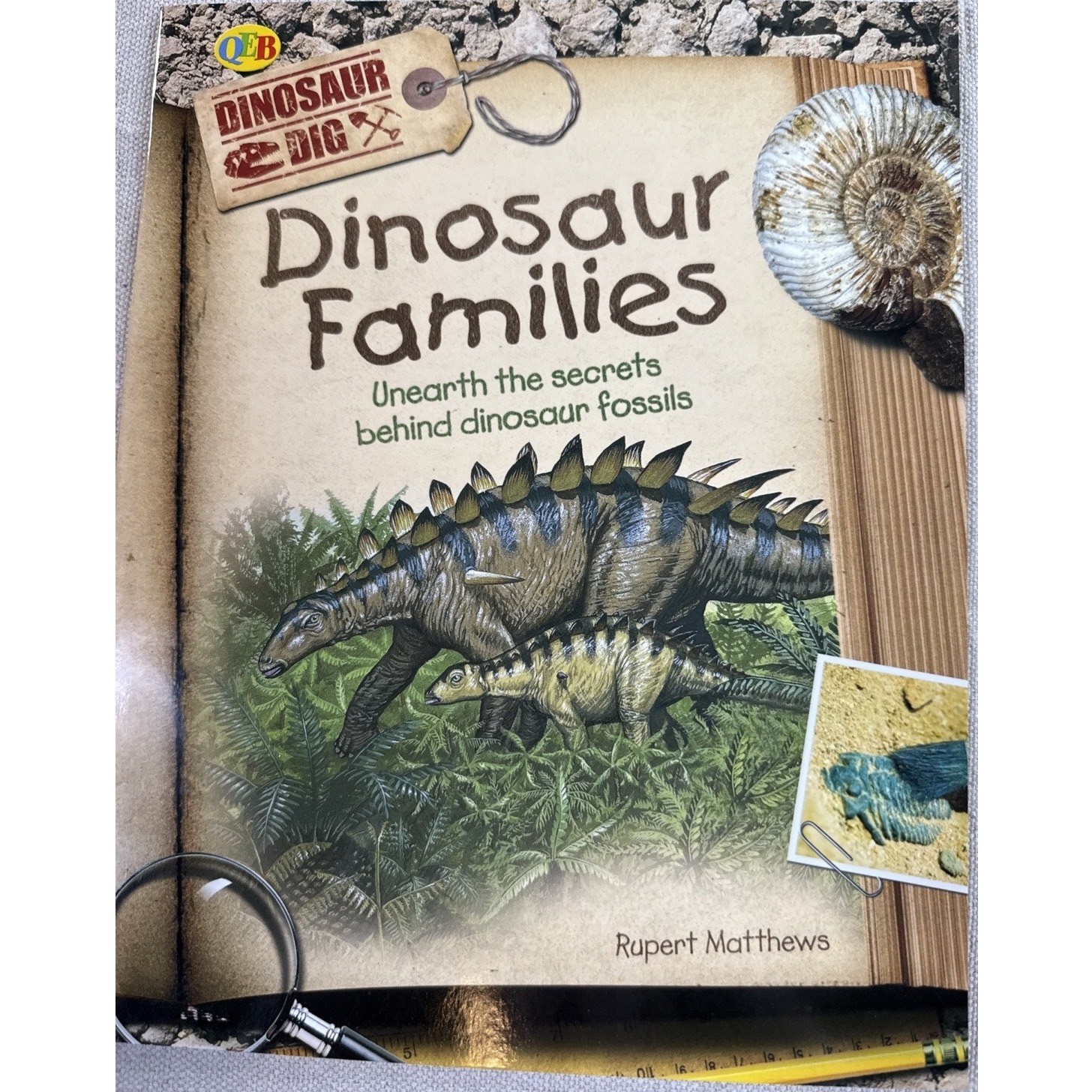 Dinosaur Books Kids Set 4 Rupert Matthews QEB Fossil Science Lot