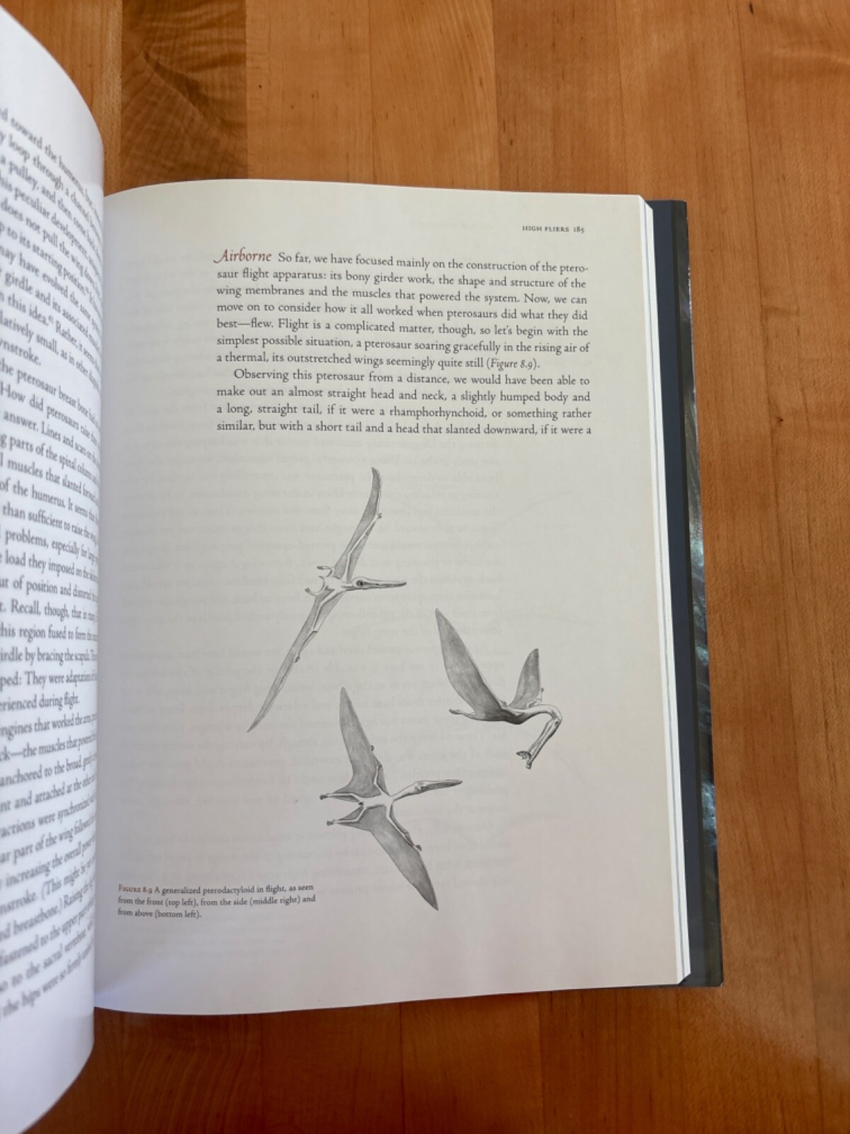 The Pterosaurs: From Deep Time, David M Unwin, Brand New, Hardcover, Brand New