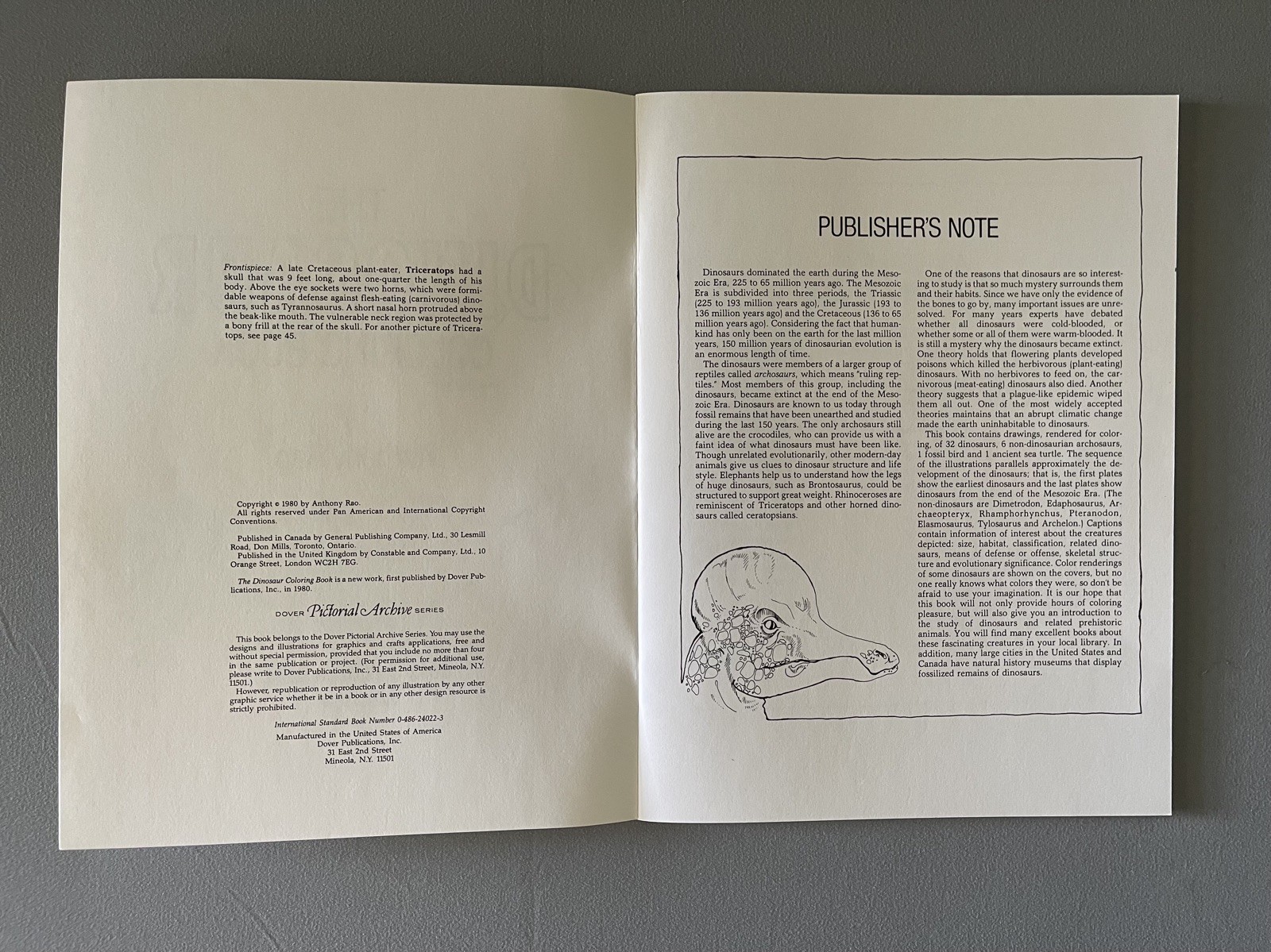 Vintage 1980 The Dinosaur Coloring Book by Anthony Rao for Dover Publications