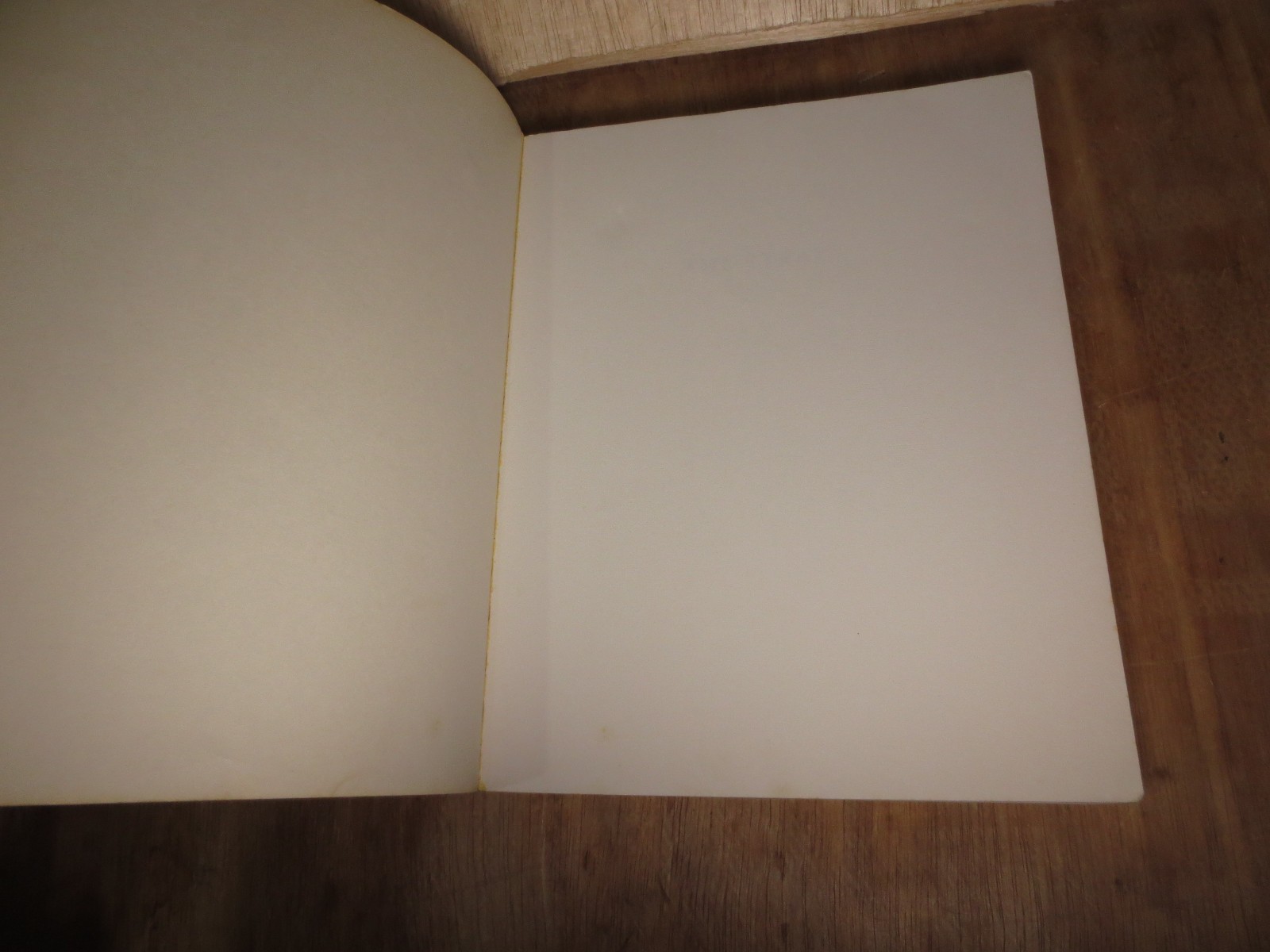 The Stray by Betsy James Wyeth Illustrated by Jamie Wyeth 1st Ed 1979 VTG