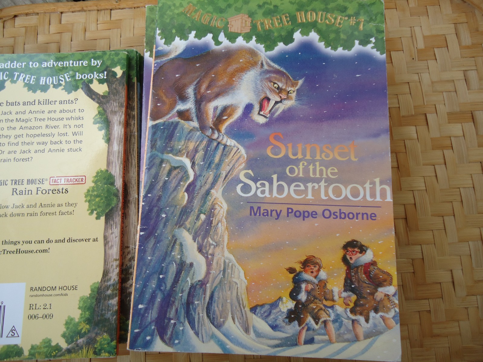 Magic Tree House Lot 11 Books Mostly PB No Repeats Childrens Historical Fiction
