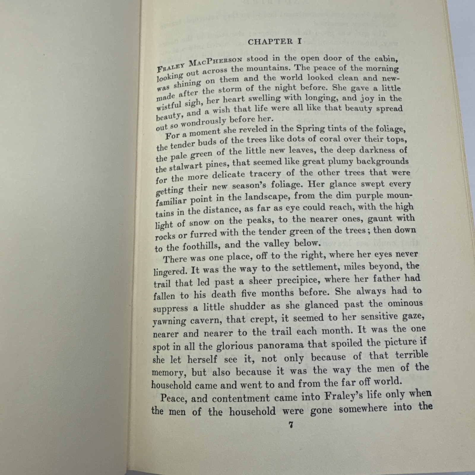 Ladybird Grace Livingston Hill Grosset & Dunlap c1930 Later Print Vintage Novel