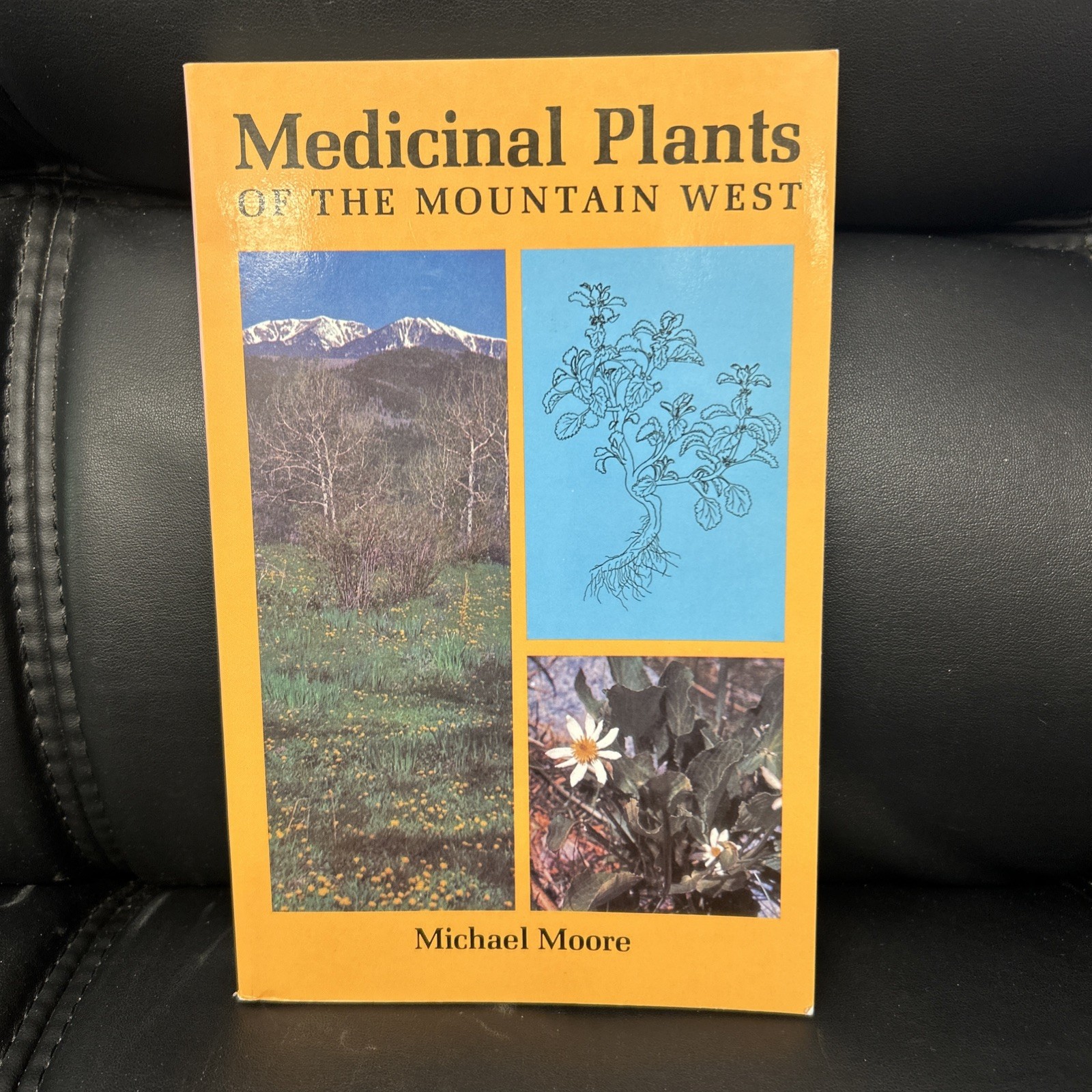 Medicinal Plants of the Mountain West by Michael Moore PB