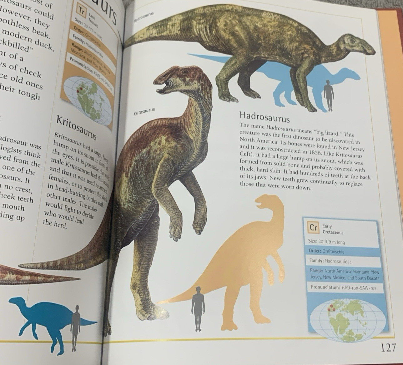 Complete Guide to Dinosaurs by Chris McNab – Hardcover – Velika Enciklopedija