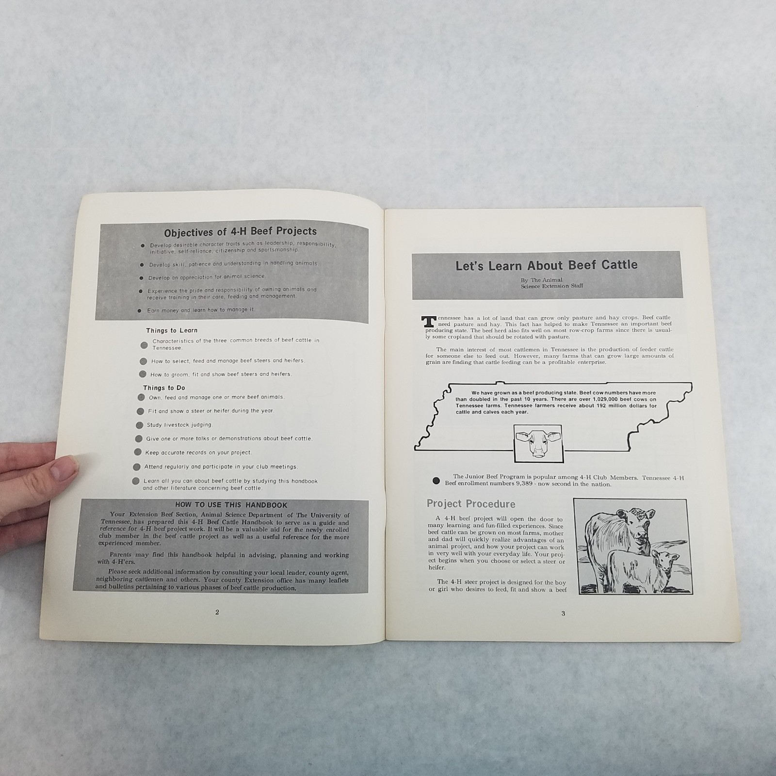 Beef Cattle Handbook UT Agricultural Extension Service 4H Booklet #568 – 1986