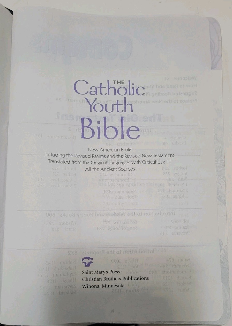 Catholic Youth Bible! In Great Shape