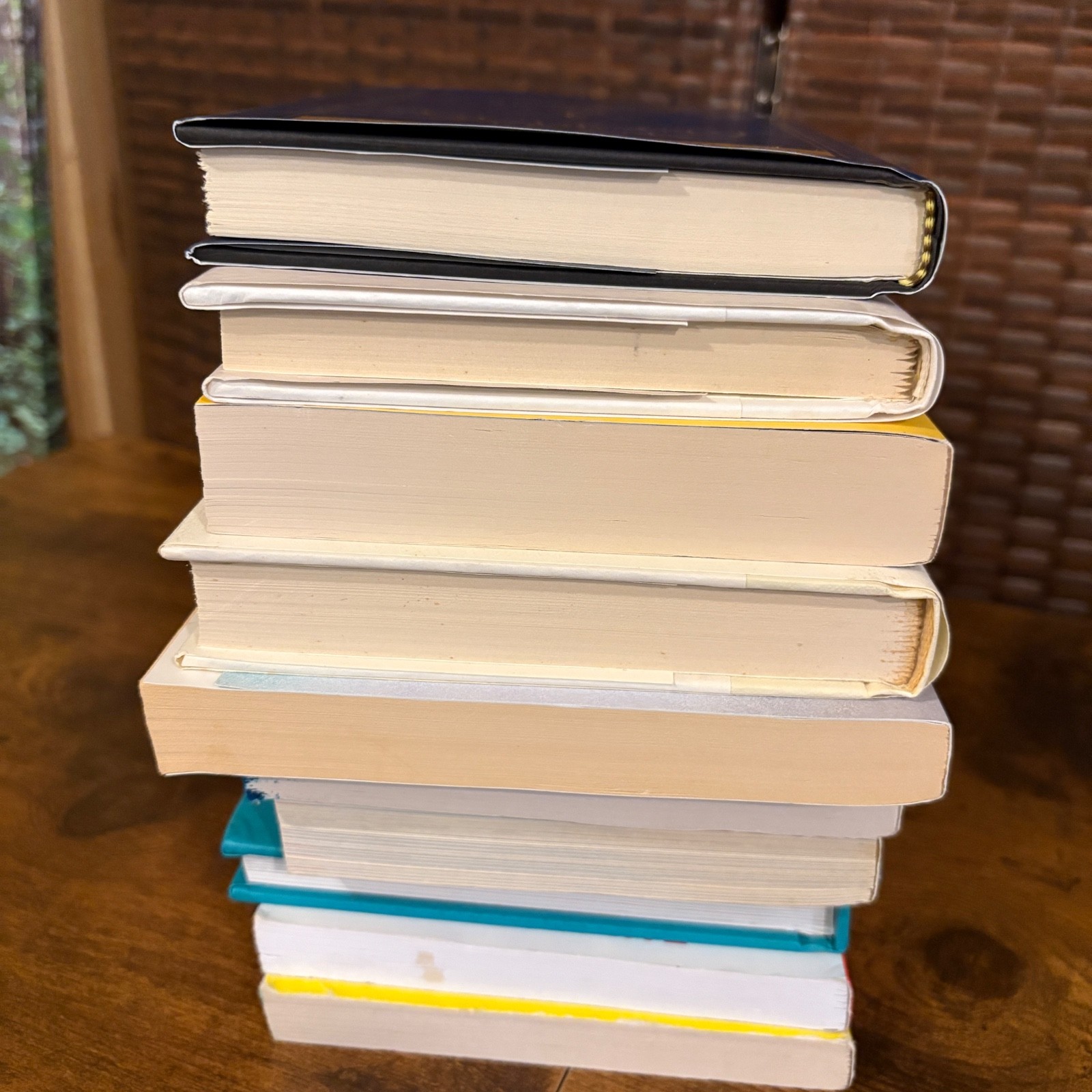Lot Of 10 Misc Books Zadie Smith Jaycee Dugard Dog Books Fiction Non Fiction
