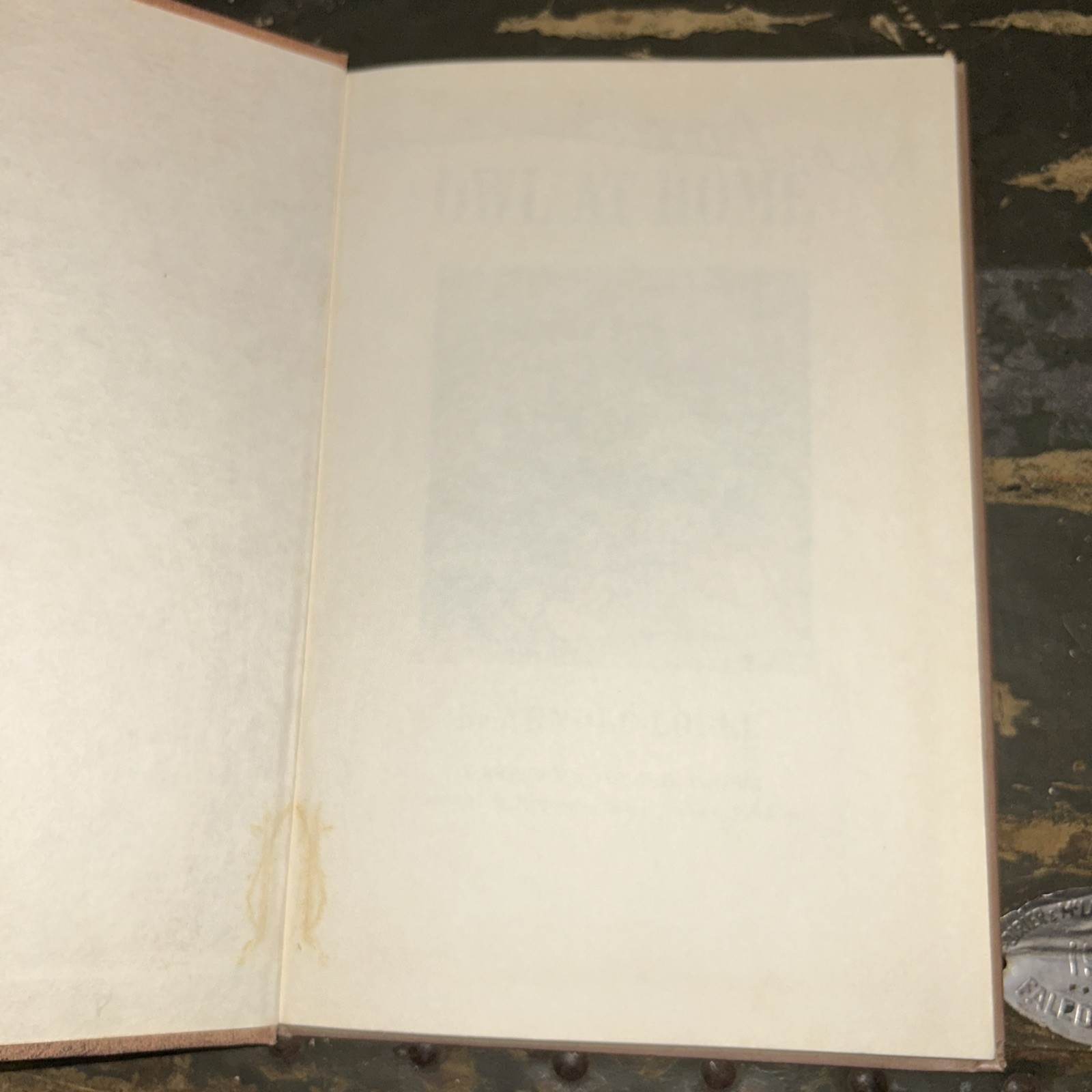 Owl at Home by Arnold Lobel 1975, Hardcover Weekly Reader Book Club Edition E2
