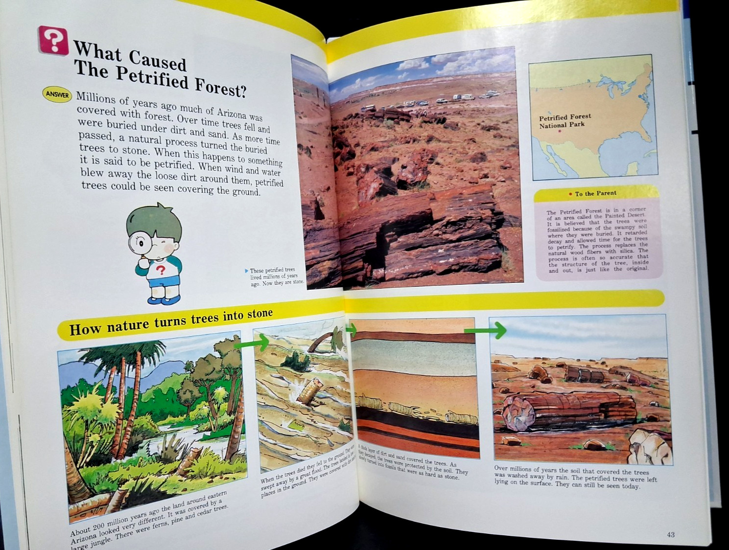 Lot of 3 A Child’s First Library of Learning Famous Places, Insects, Sky & Earth