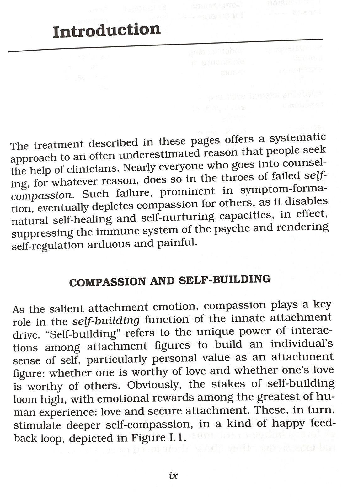 Treating Attachment Abuse: A Compassionate Approach Steven Stosny Pschopathology