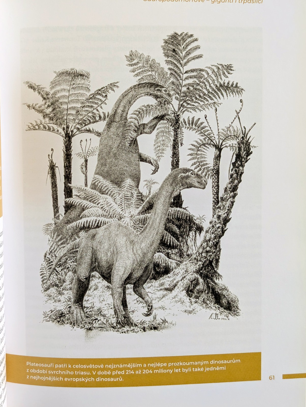 Tyrannosaurus rex Lot of 4 Czech Books on Dinosaurs Paleontology Vladimír Socha