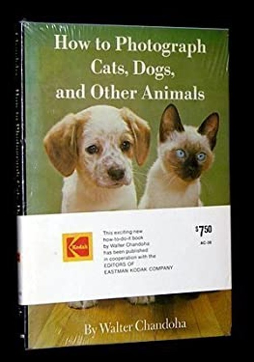 How to Photograph Cats, Dogs, and Other Animals Hardcover Walter