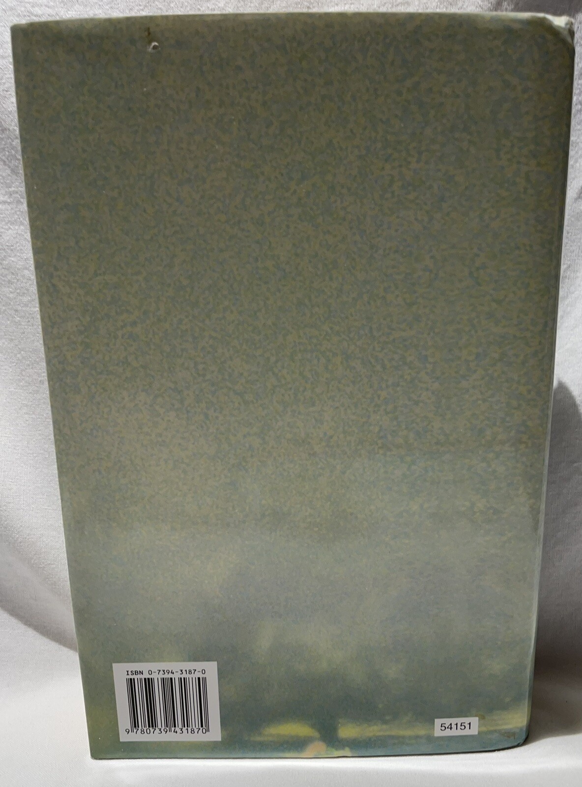 Along Came Mary a Novel By Jo-Ann Mapson Large Print 2003 Unabridged Dust Jacket