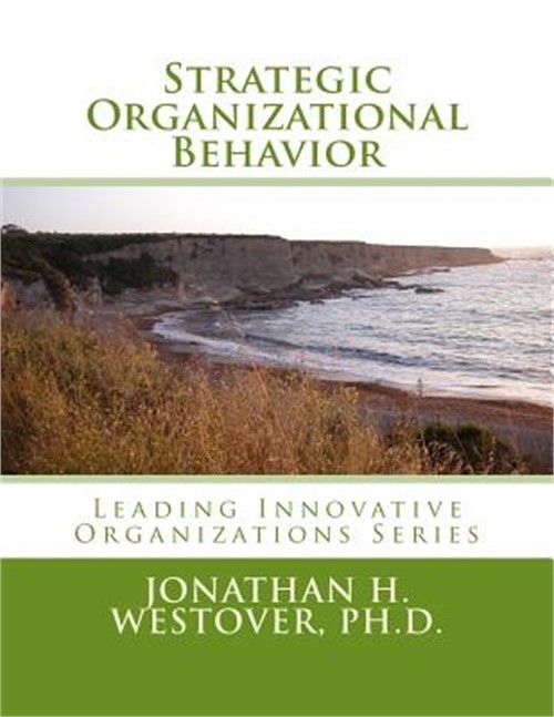 Strategic Organizational Behavior (Paperback or Softback)