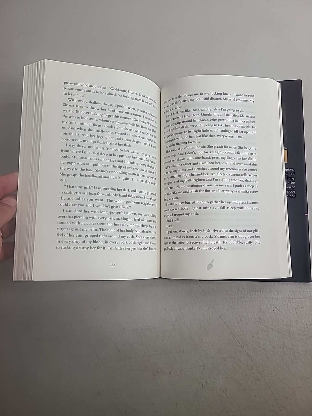 Butcher and Blackbird by Brynne Weaver BOTM Hardcover