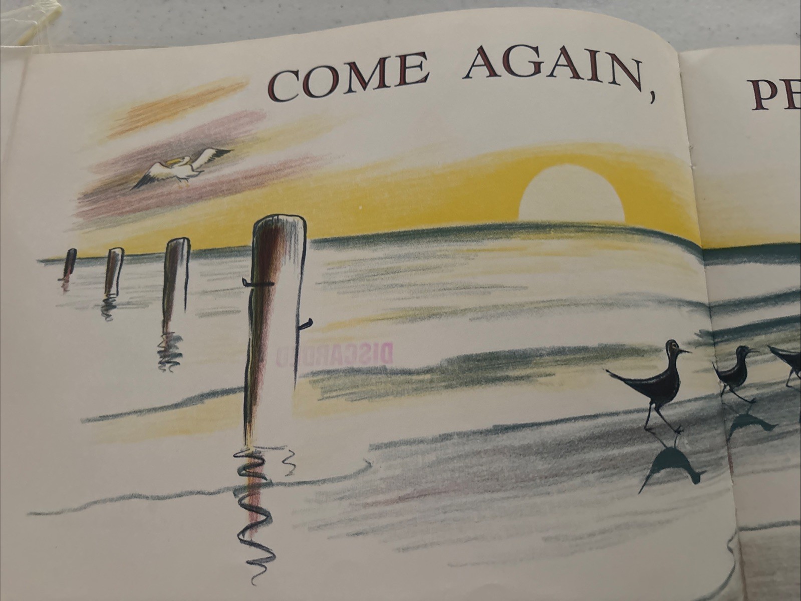 Come Again, Pelican by Don Freeman (1961, Hardcover)