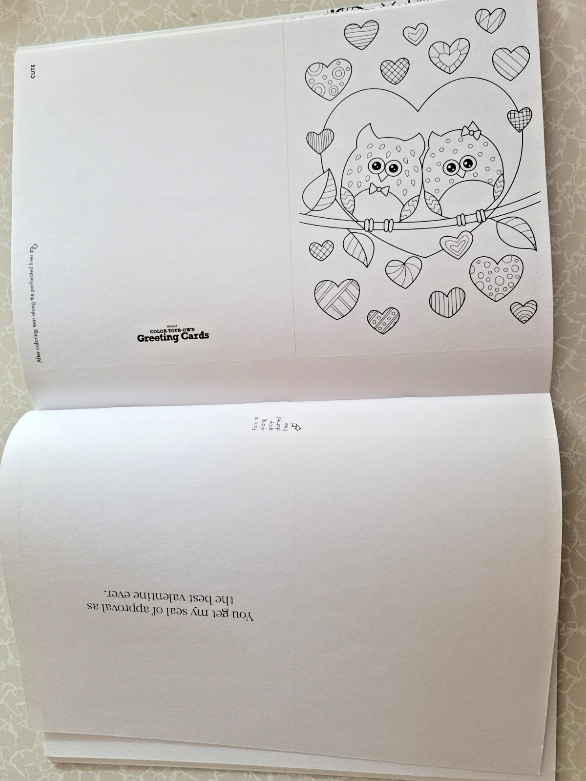 COLOR YOUR OWN GREETING CARDS Create 28 Fun & Festive Cards – Children & Adult