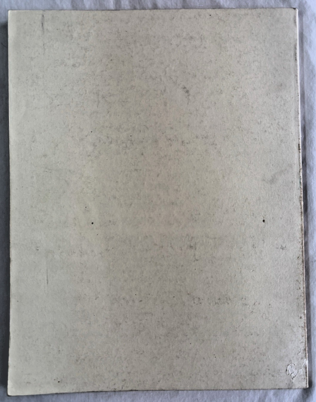 SWAT TEAM MANUAL FM-1698 by ROBERT P. CHAPPEL PALADIN PRESS 1979