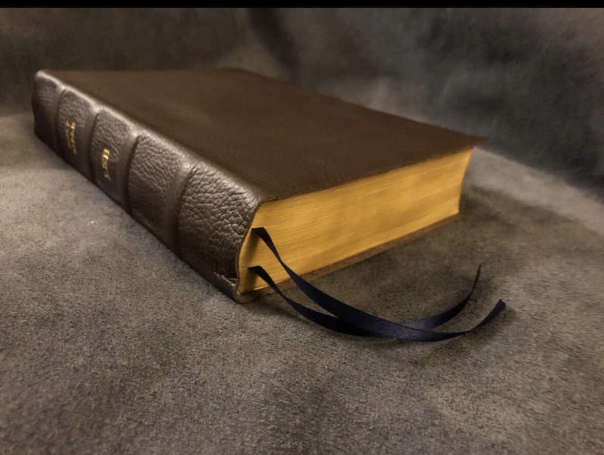 lsb inside column reference Legacy Standard Bible Leather Brown