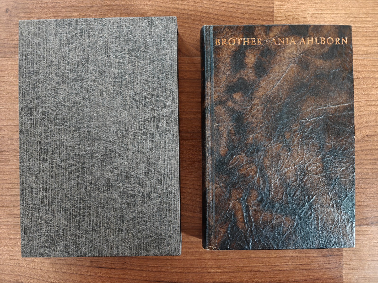 Numbered Limited Edition Of Brother By Ania Ahlborn From Suntup Editions