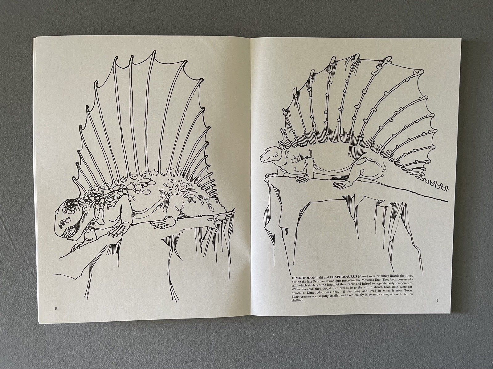 Vintage 1980 The Dinosaur Coloring Book by Anthony Rao for Dover Publications