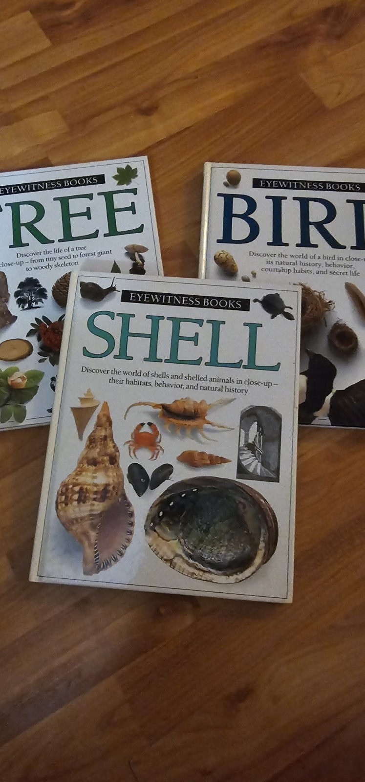 Lot of 3 Eyewitness Science Educational Books DK Books Shell,Tree, Bird