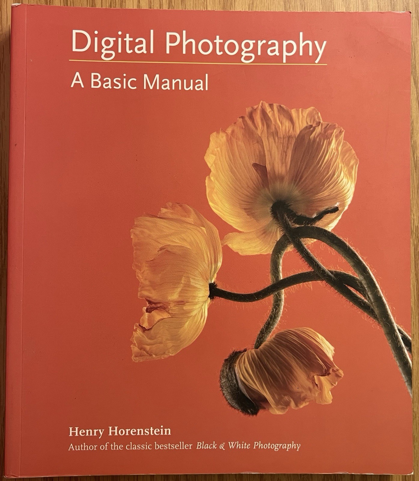 Digital Photography : A Basic Manual by Henry Horenstein (2011, Trade Paperback)