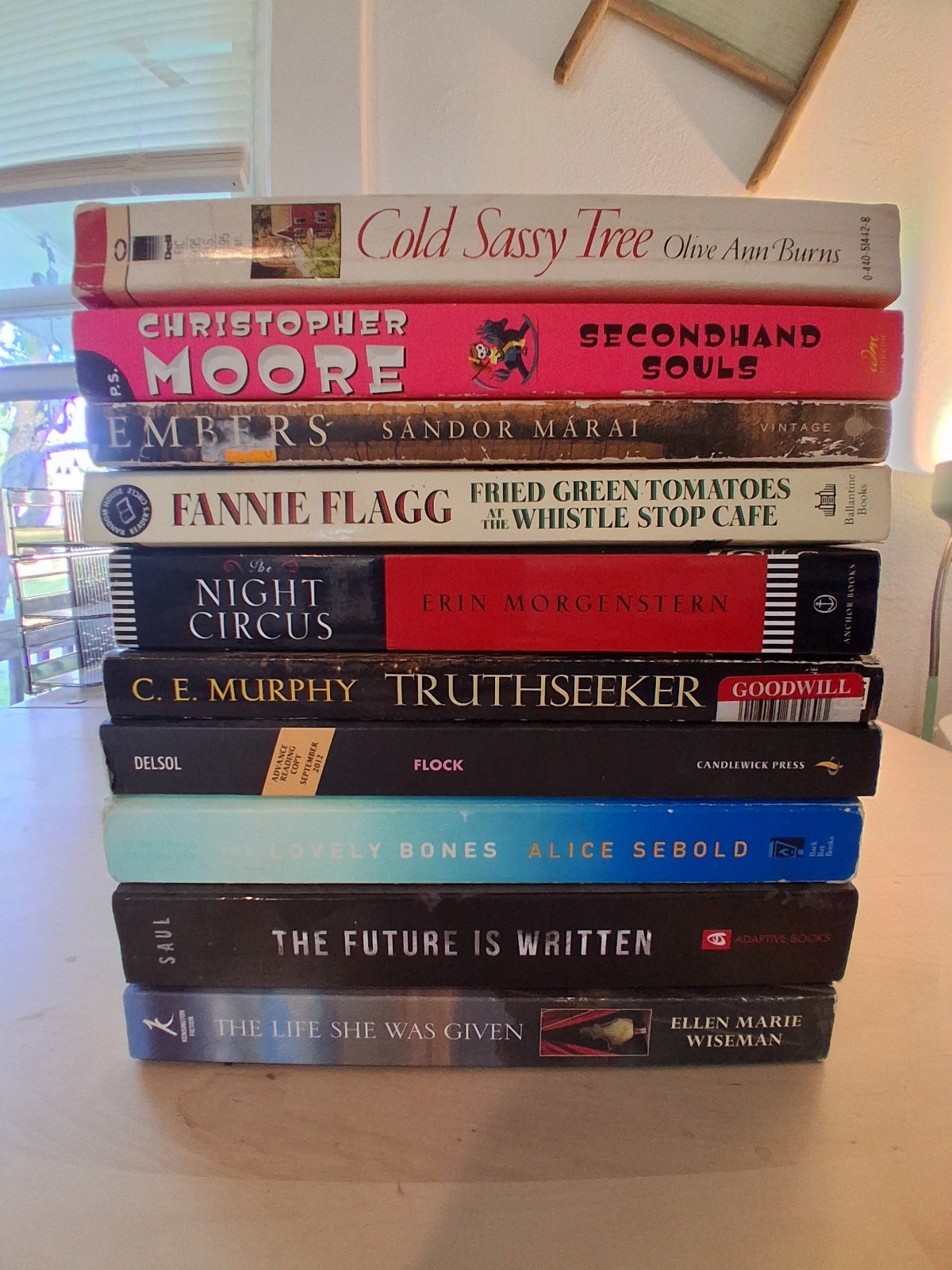 Lot Of 10 Miscellaneous Used Paperback Fiction Novels