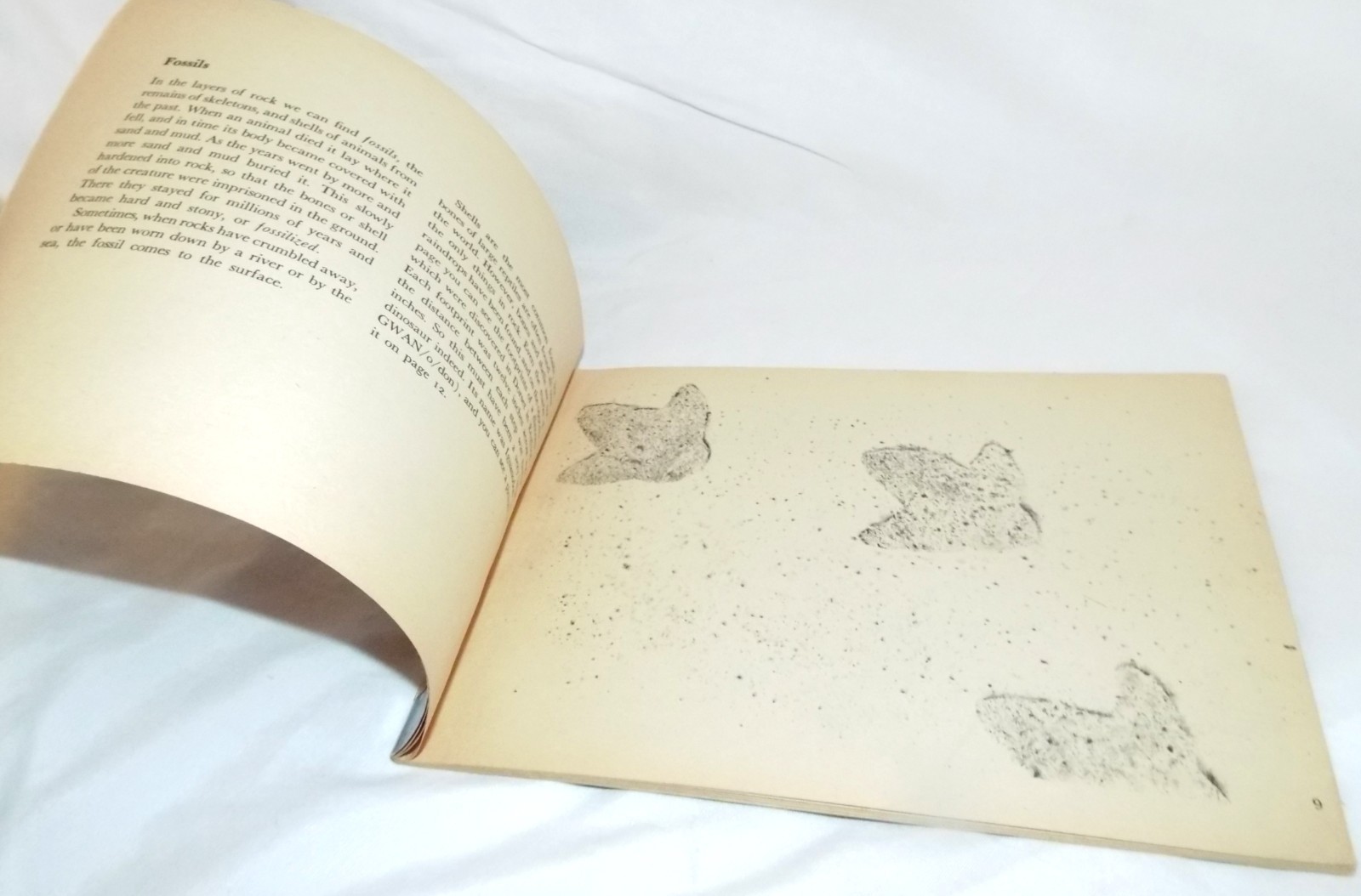 Digging for Dinosaurs by W.E. Swinton 1st Printing September 1969