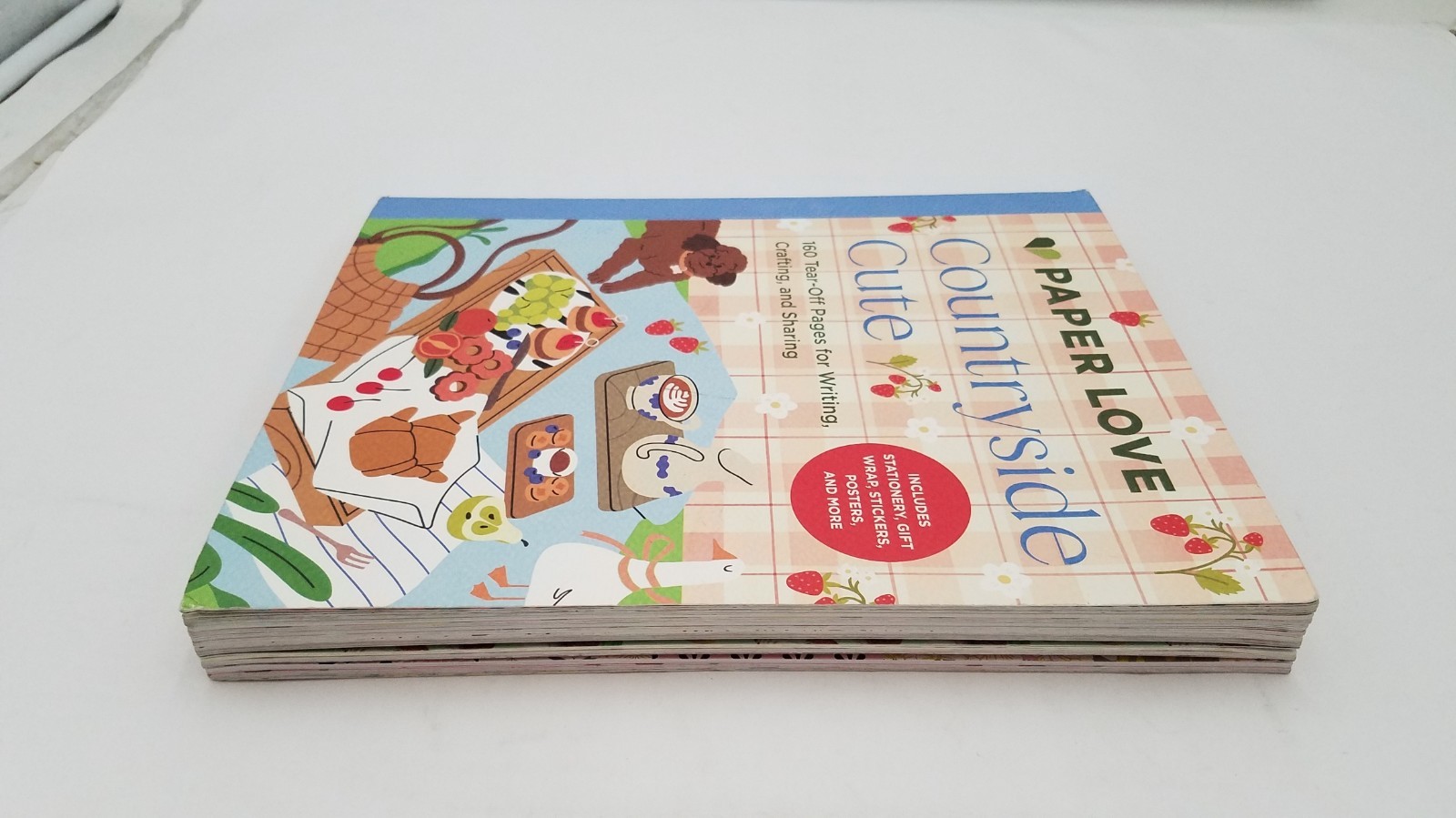 PAPER LOVE COUNTRYSIDE CUTE BOOK FOR PAPER LOVERS INSIGHT ED-9798337403274