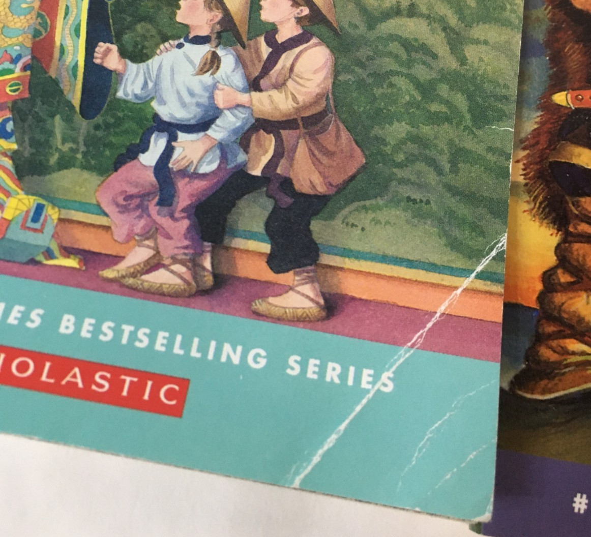 Lot of 14 Magic Tree House Original Series Books by Mary Pope Osborne Paperback