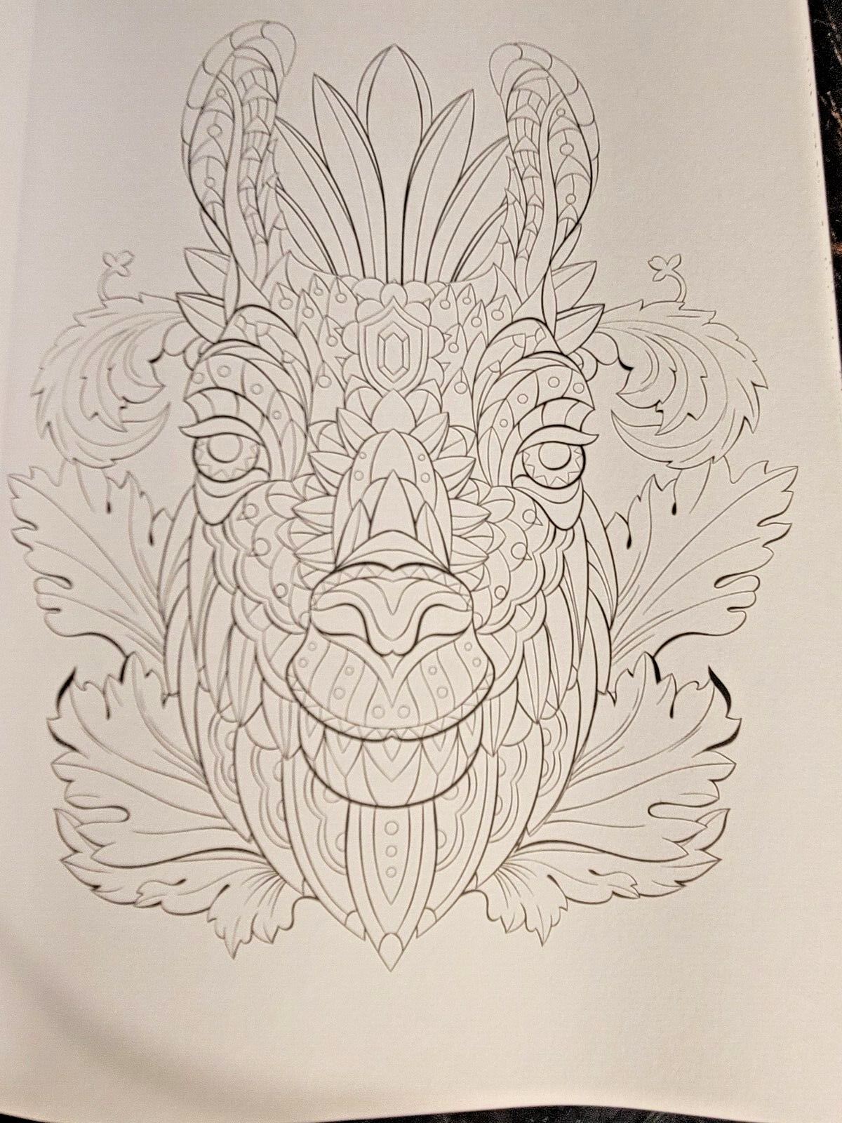 COLORS OF THE WILD! Vol. 16 Adult Coloring Book With 47 Prints Ready To Frame!