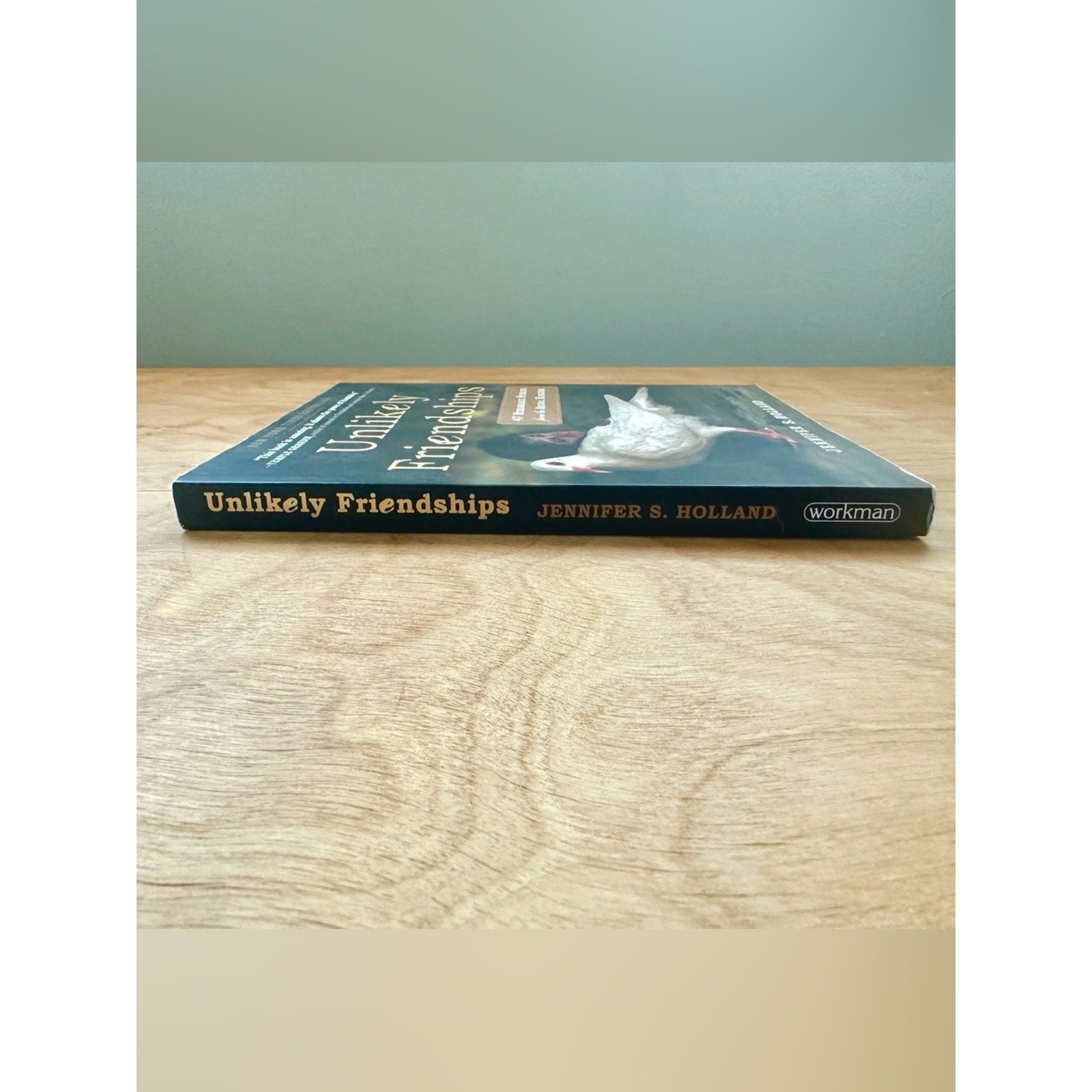 Unlikely Friendships Jennifer S Holland Paperback Animal Stories Book