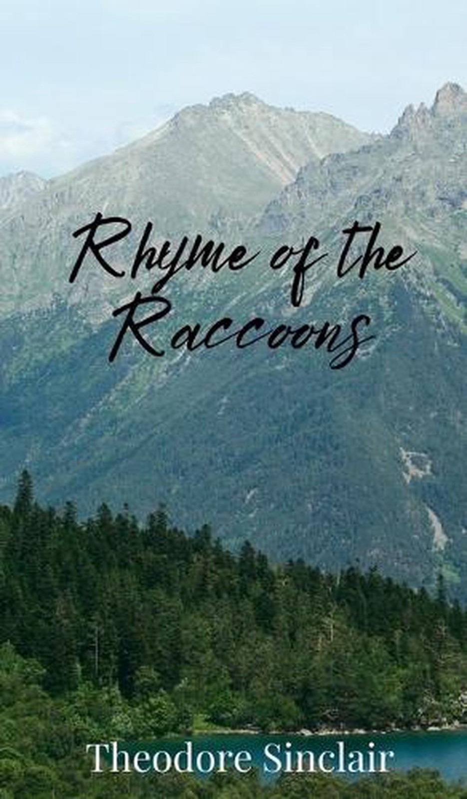 Rhyme of the Raccoons by Theodore Sinclair Hardcover Book