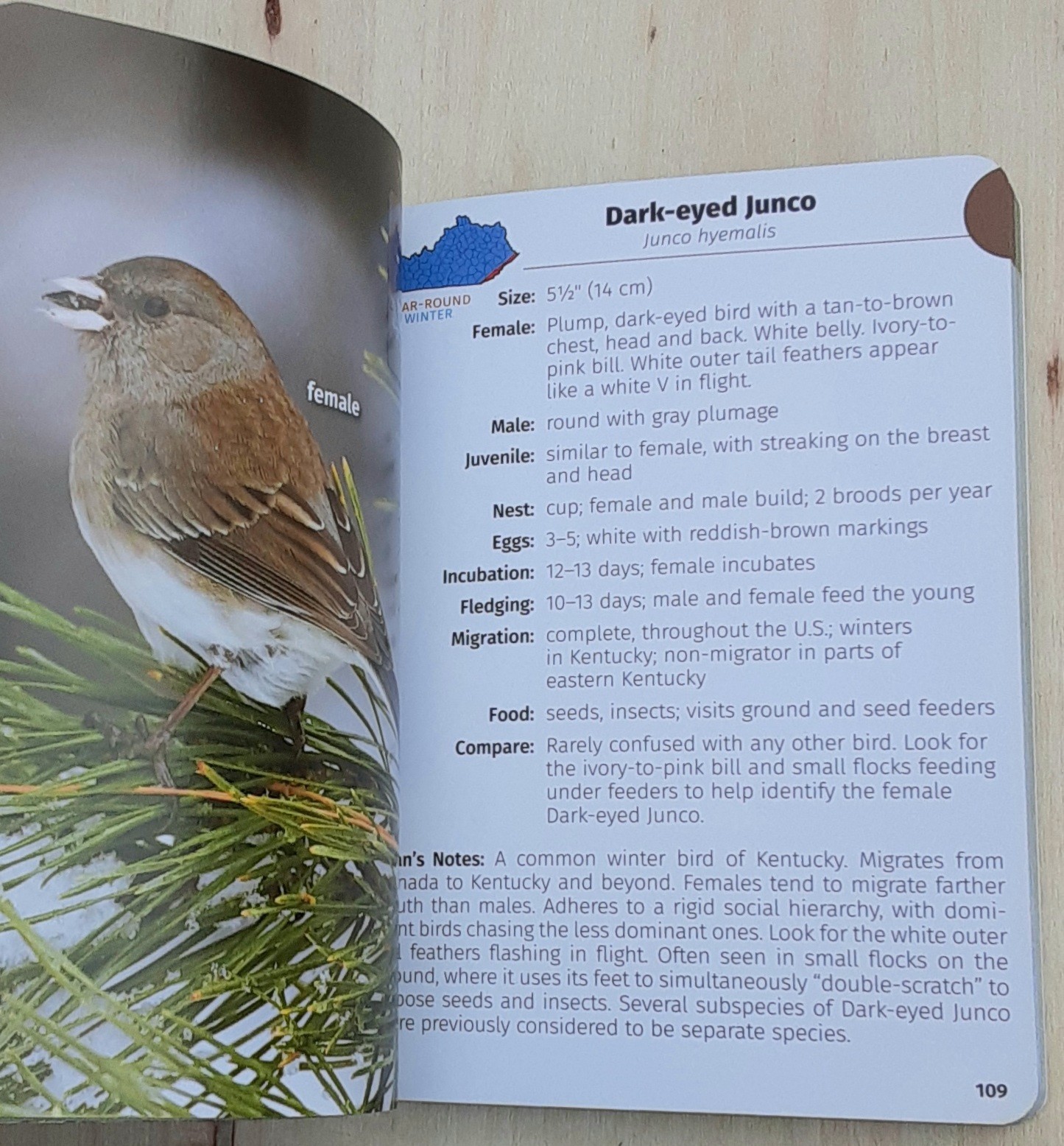 Birds of Kentucky Field Guide by Stan Tekiela 2022 Illustrated Paperback Book