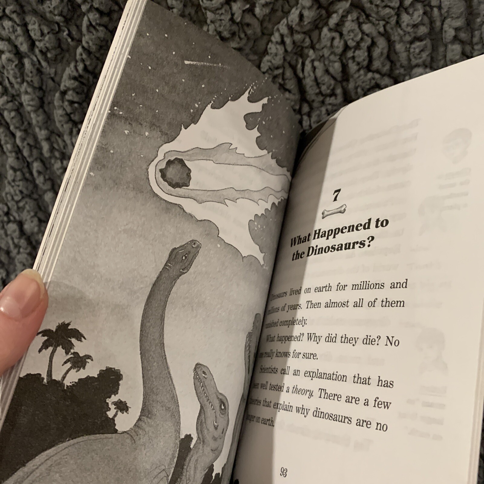 Dinosaurs: A Nonfiction Companion to Magic Tree House #1: Dinosaurs Before Dark