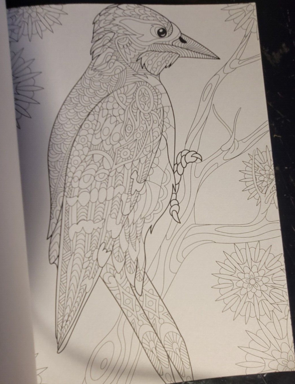 MAGJESTIC CREATURES Vol 14 – Adult Coloring Book by TOPIX MEDIA – 47 PRINTS