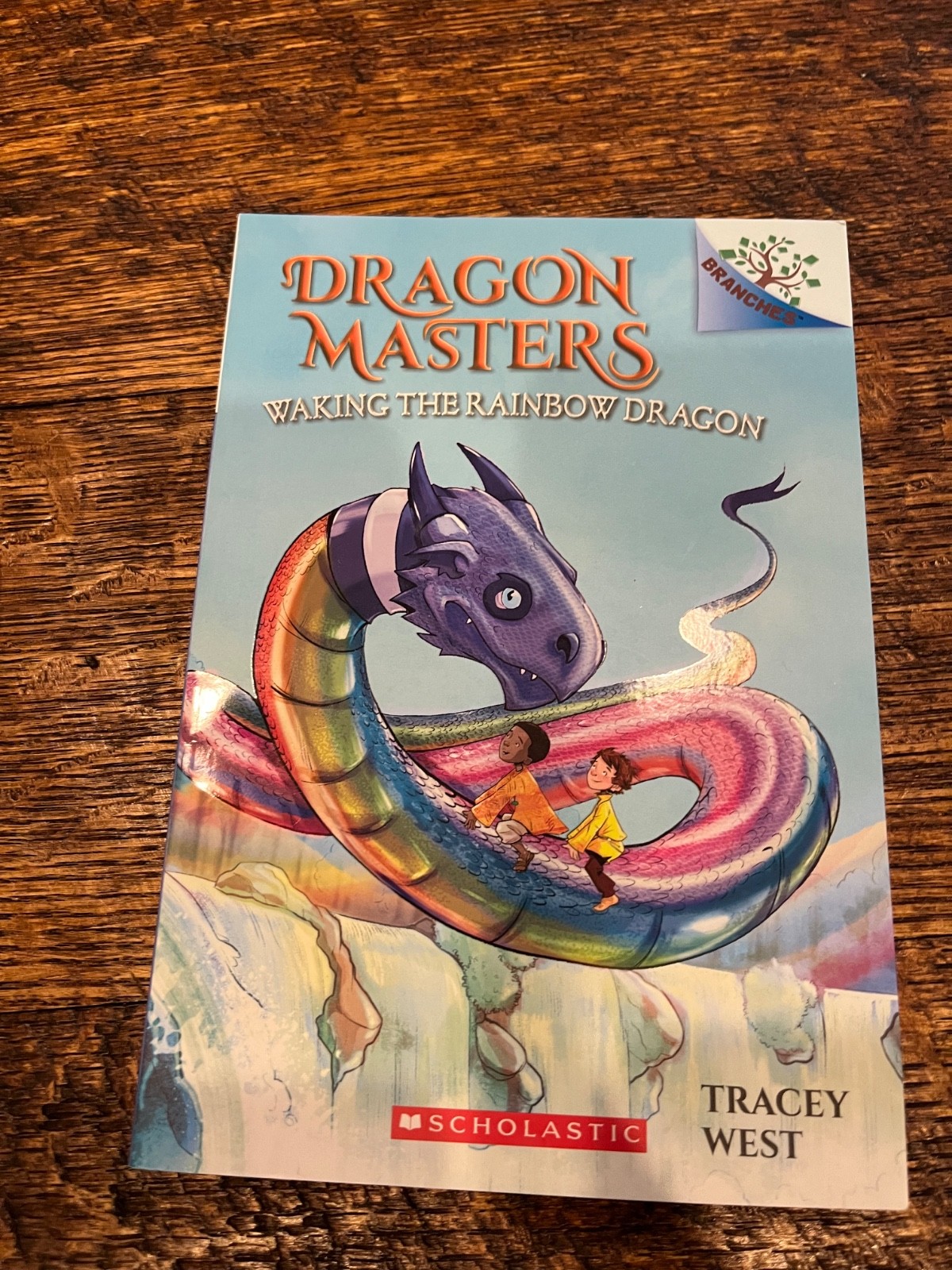 Dragon Masters Books 9-12 Set Scholastic Fantasy Series Paperback Lot Complete