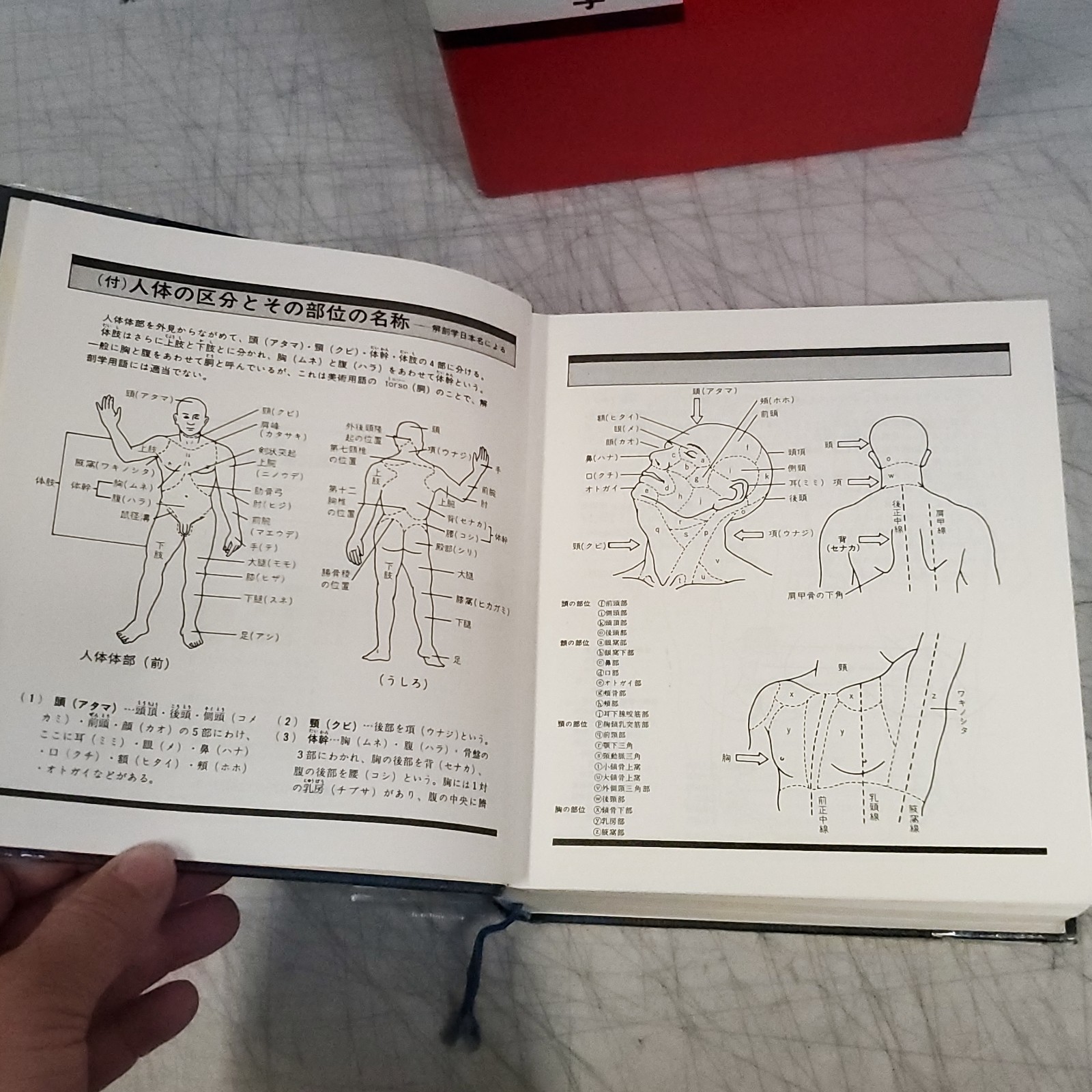Vintage Japanese Modern Family Medicine Encyclopedia Shufunotomosha (家庭医学 百科)