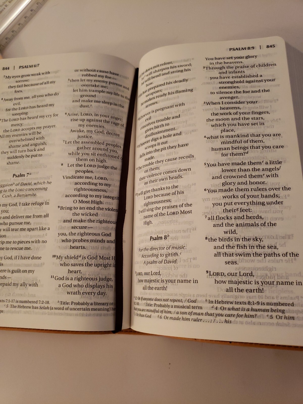 NIV LP Chocolate Amber Holy Bible Large Print