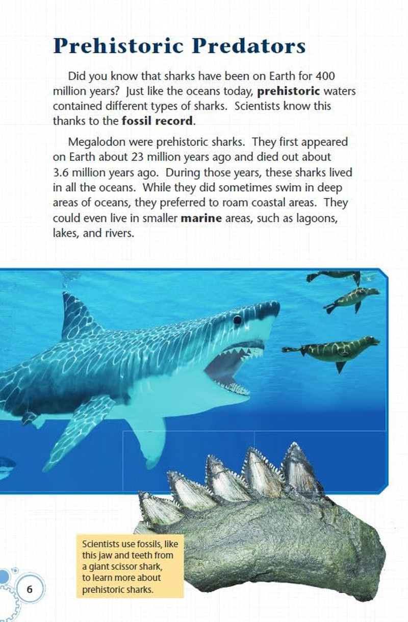Meet the Megalodon (Smithsonian: Informational Text)